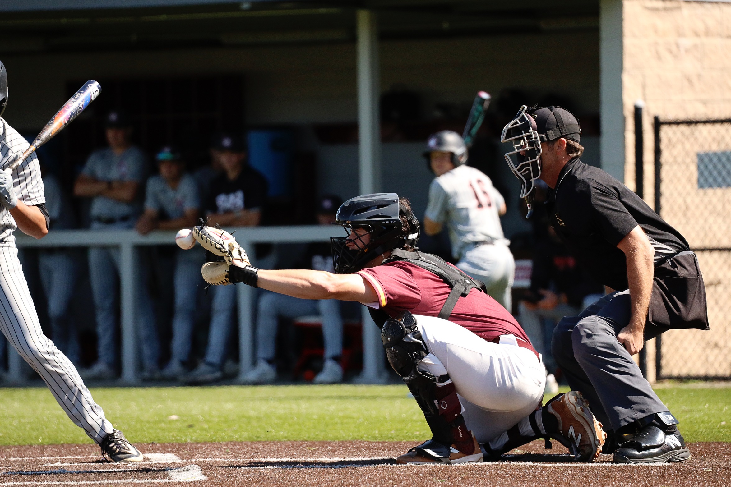 Cavaliers Split Doubleheader Against No. 9 LSU-Eunice